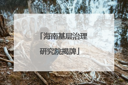 海南基层治理研究院揭牌