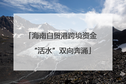 海南自贸港跨境资金“活水”双向奔涌