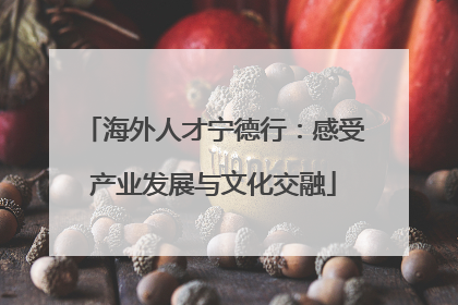海外人才宁德行：感受产业发展与文化交融