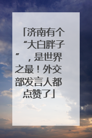 济南有个“大白胖子”，是世界之最！外交部发言人都点赞了