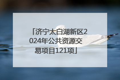济宁太白湖新区2024年公共资源交易项目121项