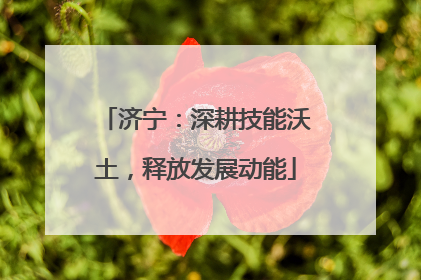济宁：深耕技能沃土，释放发展动能