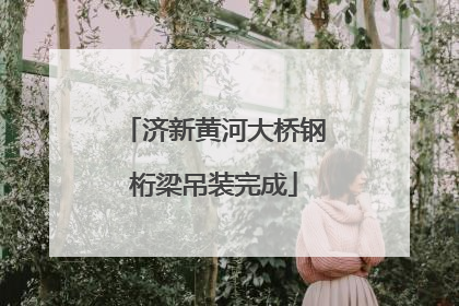 济新黄河大桥钢桁梁吊装完成