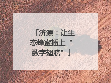 济源：让生态蜂蜜插上“数字翅膀”