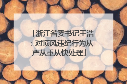 浙江省委书记王浩：对顶风违纪行为从严从重从快处理