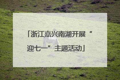 浙江嘉兴南湖开展“迎七一”主题活动