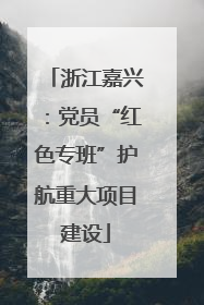 浙江嘉兴：党员“红色专班”护航重大项目建设