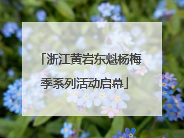浙江黄岩东魁杨梅季系列活动启幕