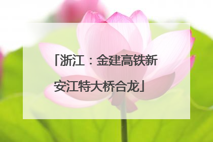 浙江：金建高铁新安江特大桥合龙