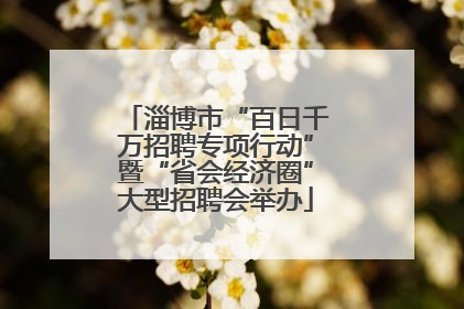 淄博市“百日千万招聘专项行动”暨“省会经济圈”大型招聘会举办