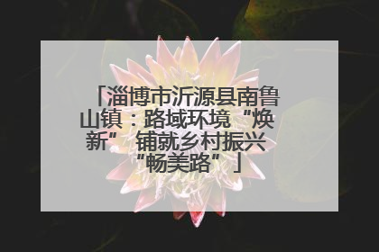 淄博市沂源县南鲁山镇：路域环境“焕新” 铺就乡村振兴“畅美路”