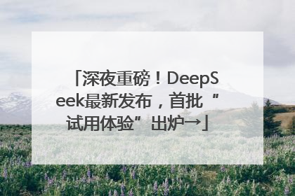 深夜重磅！DeepSeek最新发布，首批“试用体验”出炉→