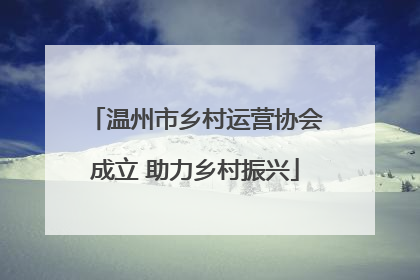 温州市乡村运营协会成立 助力乡村振兴