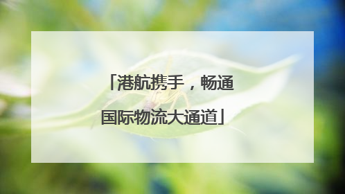 港航携手，畅通国际物流大通道