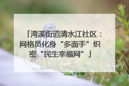 湾溪街道清水江社区：网格员化身“多面手”织密“民生幸福网”