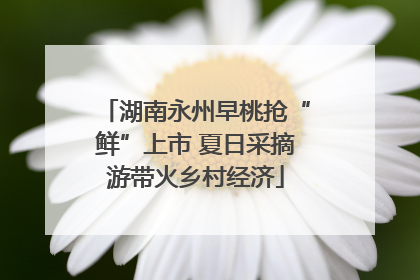 湖南永州早桃抢“鲜”上市 夏日采摘游带火乡村经济