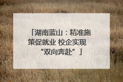 湖南蓝山：精准施策促就业 校企实现“双向奔赴”