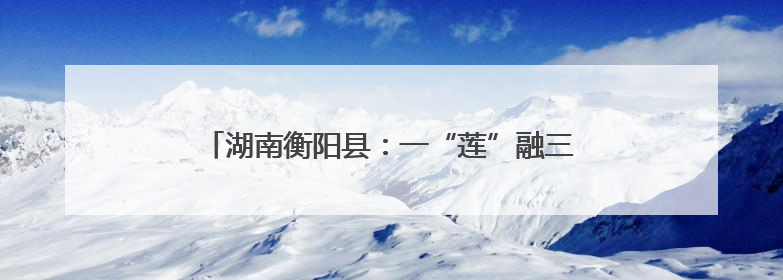 湖南衡阳县：一“莲”融三产 “荷”美乡村兴业富民