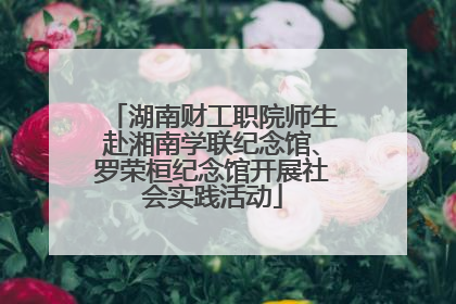 湖南财工职院师生赴湘南学联纪念馆、罗荣桓纪念馆开展社会实践活动