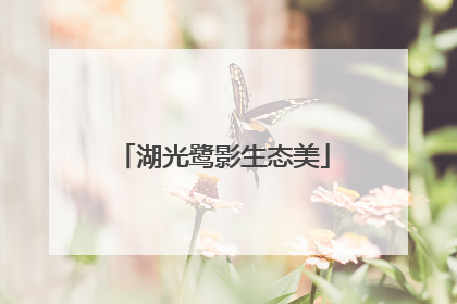 湖光鹭影生态美