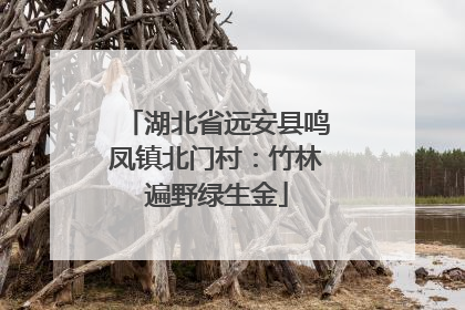 湖北省远安县鸣凤镇北门村：竹林遍野绿生金