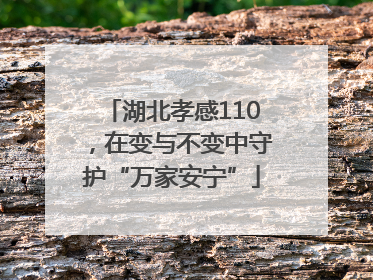 湖北孝感110，在变与不变中守护“万家安宁”