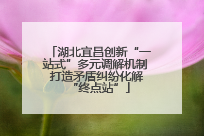 湖北宜昌创新“一站式”多元调解机制 打造矛盾纠纷化解“终点站”