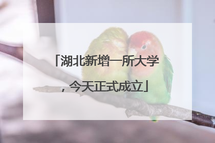 湖北新增一所大学，今天正式成立