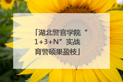 湖北警官学院“1+3+N”实战育警硕果盈枝