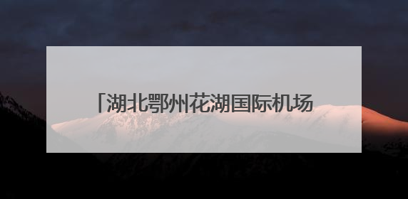 湖北鄂州花湖国际机场开通4条“荔枝航线”
