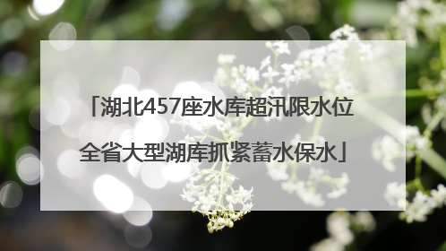 湖北457座水库超汛限水位 全省大型湖库抓紧蓄水保水