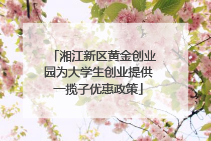 湘江新区黄金创业园为大学生创业提供一揽子优惠政策
