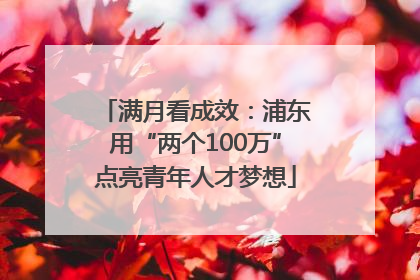 满月看成效：浦东用“两个100万”点亮青年人才梦想