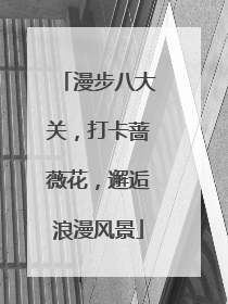 漫步八大关，打卡蔷薇花，邂逅浪漫风景