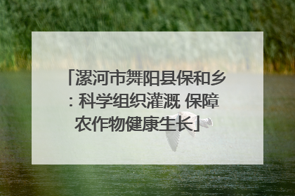 漯河市舞阳县保和乡：科学组织灌溉 保障农作物健康生长