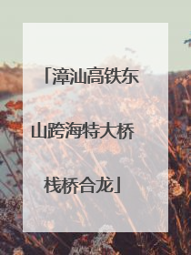 漳汕高铁东山跨海特大桥栈桥合龙