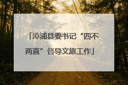 漳浦县委书记“四不两直”督导文旅工作