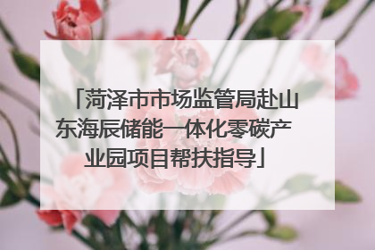 菏泽市市场监管局赴山东海辰储能一体化零碳产业园项目帮扶指导