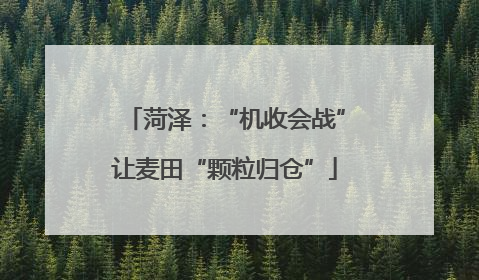 菏泽：“机收会战”让麦田“颗粒归仓”