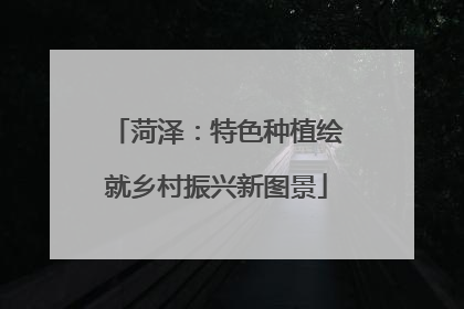菏泽：特色种植绘就乡村振兴新图景