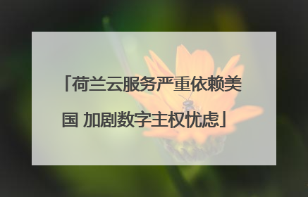 荷兰云服务严重依赖美国 加剧数字主权忧虑