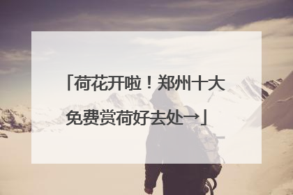 荷花开啦！郑州十大免费赏荷好去处→