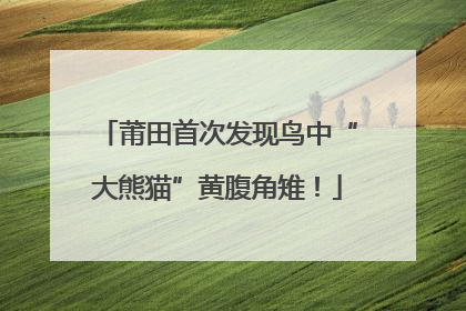莆田首次发现鸟中“大熊猫”黄腹角雉！
