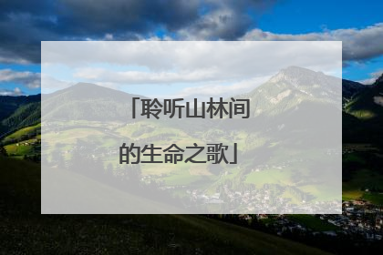 聆听山林间的生命之歌