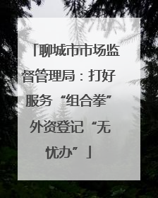 聊城市市场监督管理局：打好服务“组合拳” 外资登记“无忧办”