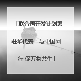 联合国开发计划署驻华代表：与中国同行 促万物共生