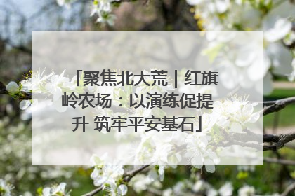 聚焦北大荒｜红旗岭农场：以演练促提升 筑牢平安基石