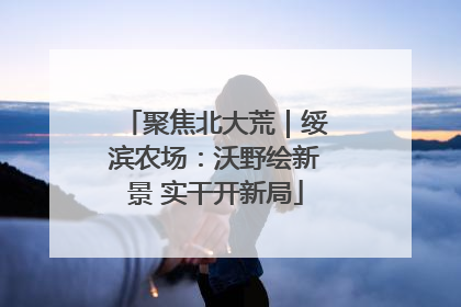 聚焦北大荒｜绥滨农场：沃野绘新景 实干开新局