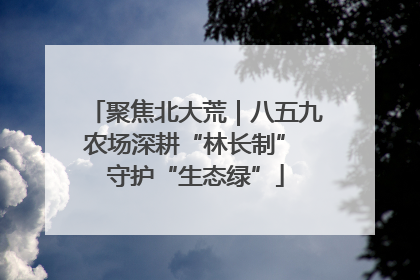 聚焦北大荒｜八五九农场深耕“林长制” 守护“生态绿”
