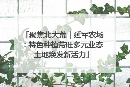 聚焦北大荒｜延军农场：特色种植带旺多元业态 土地焕发新活力